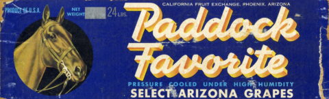 Paddock Favorite